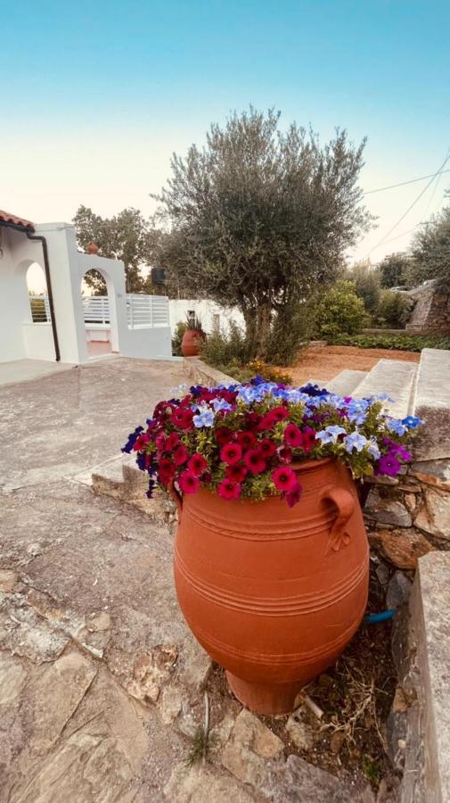 Grand House Apartment Agios Nikolaos  Luaran gambar